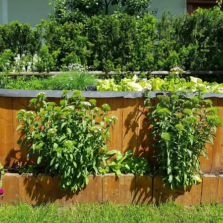 Königslehen Radstadt