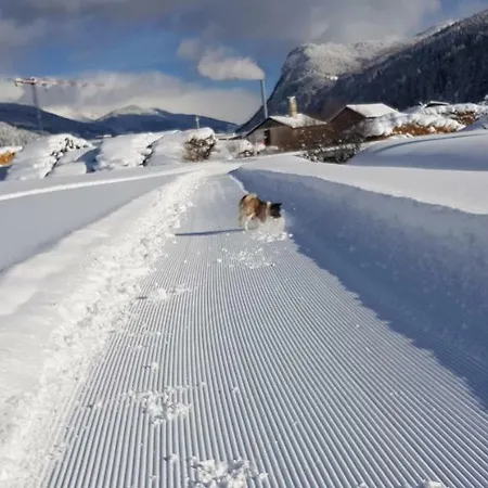 Königslehen Apartment *