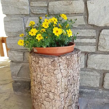 Königslehen Apartment Radstadt