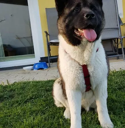 Königslehen * Radstadt