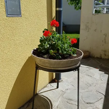 Königslehen Radstadt