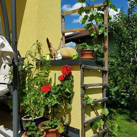 Apartment Königslehen Radstadt