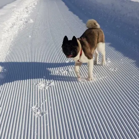 Königslehen Apartment