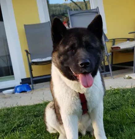 Königslehen Radstadt